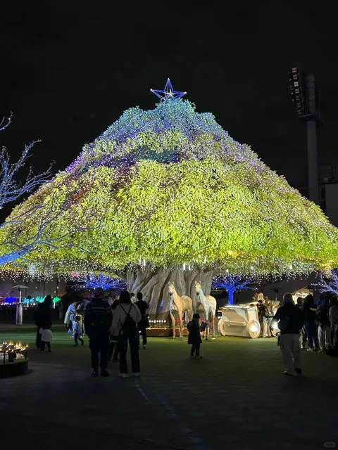 Tokyo Light Show 🗼🌟