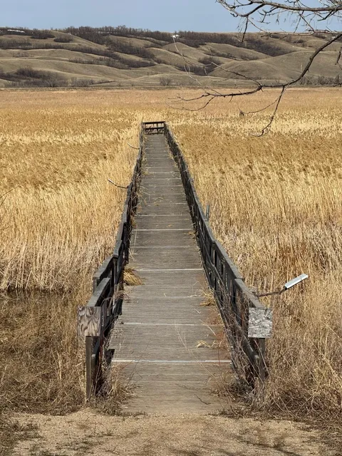 🇨🇦 Buffalo Pound Lake Hiking Guide | Saskatchewan Adventure