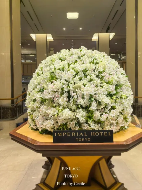 Luxurious Blowout at The Imperial Hotel Tokyo(2) 🌟