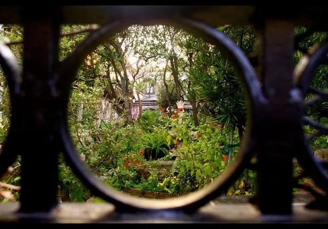 A Fantastic Tour to Discover New Orleans History! 🏛️🌿