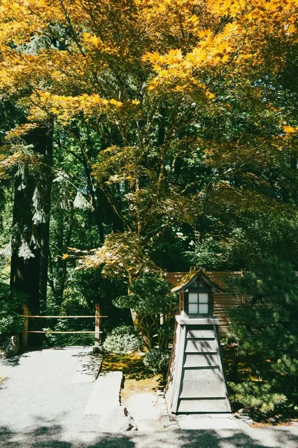  Portland’s Japanese Garden: A Fine (But Not Mind-Blowing) Escape