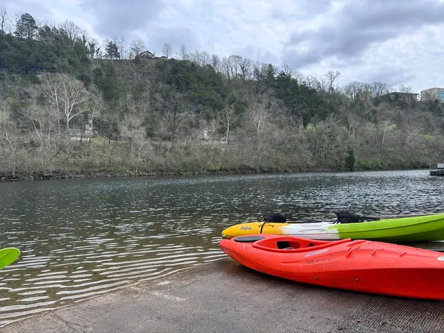 🇺🇸 Weekend Getaway from St. Louis → Branson, MO 🚗💨