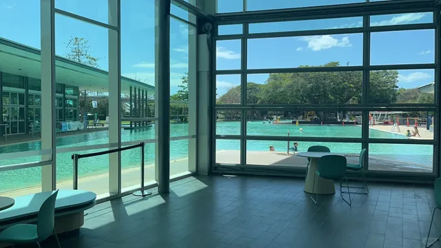  A Sanctuary for Some, A Pause for Others 🌴⏳