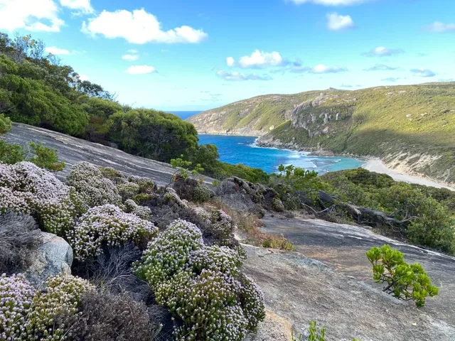 Albany solo travel--Day 2