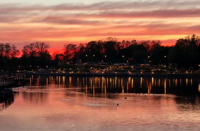 If You Also Look Up in Waterloo...