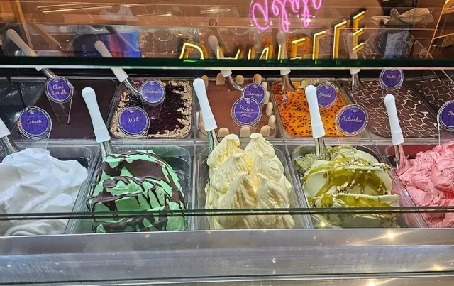 An Unexpected Encounter at Danielle Gelato!
