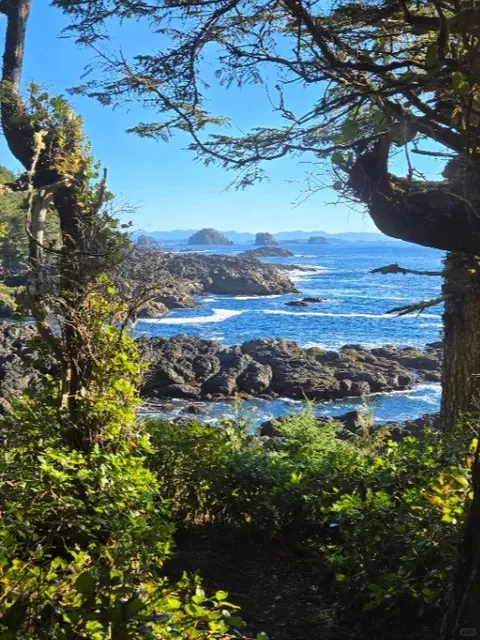 The Wild Pacific Trail Will Take Your Breath Away! 🌊