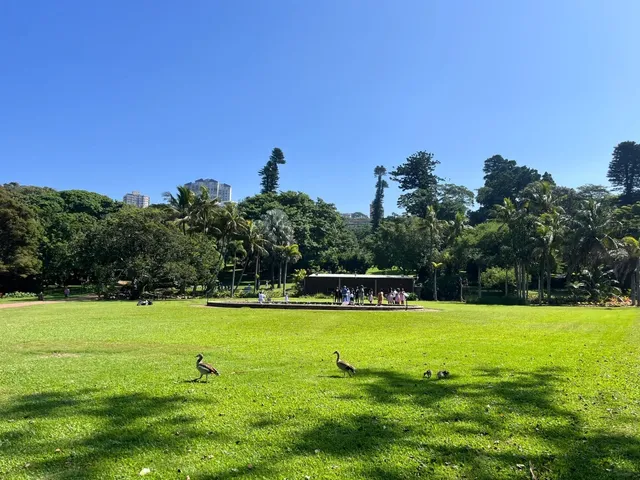 Durban Botanic Gardens 🌿🌺 – Africa’s Living Heritage!