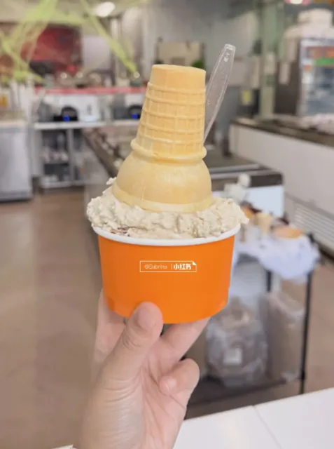 Sweet ice cream in San Diego🍦