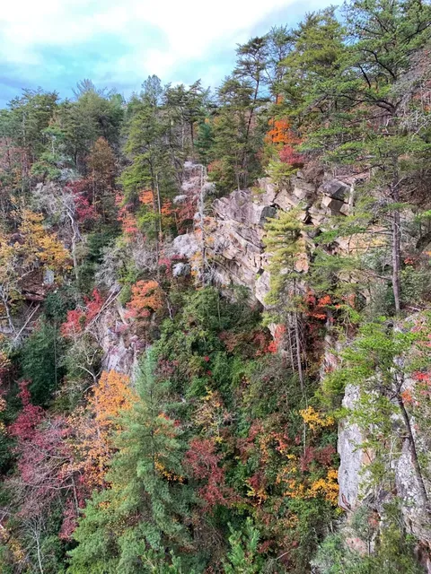 Weekend Hike: Tallulah Gorge State Park 🍂