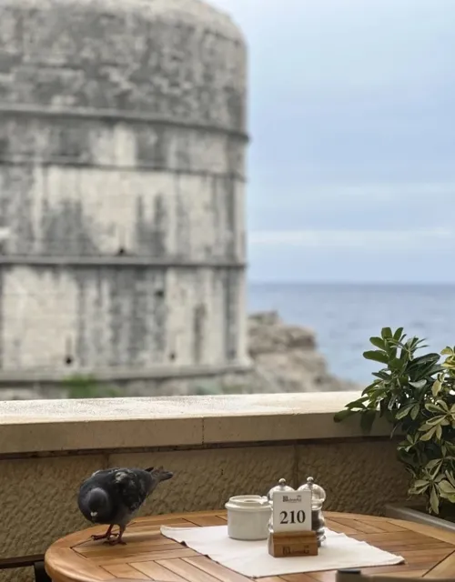 🇭🇷 Dubrovnik Old Town  ：Taj Mahal Old Town