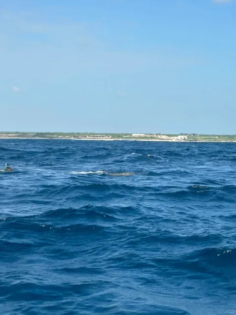 🇹🇿 Zanzibar 2-Day Itinerary: What to Do?