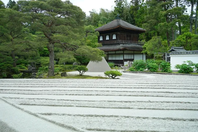 photo-2