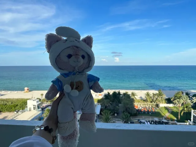 Strongly recommending the Nobu Hotel in Miami!​ 