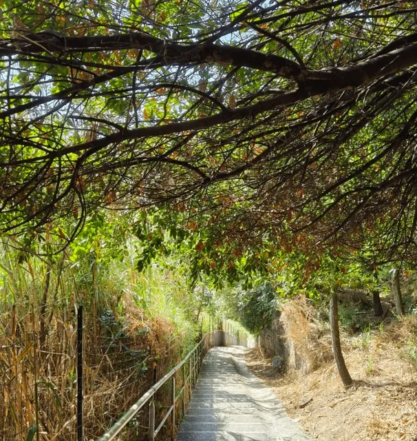 Recommendations for Ancona Attractions