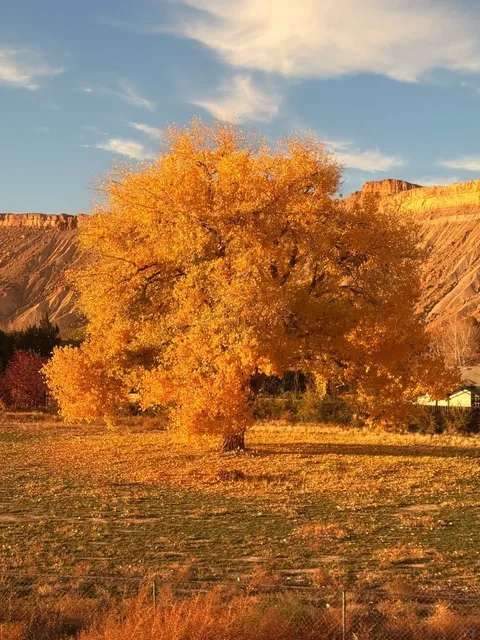 A Solo Train Journey Through the Mountains