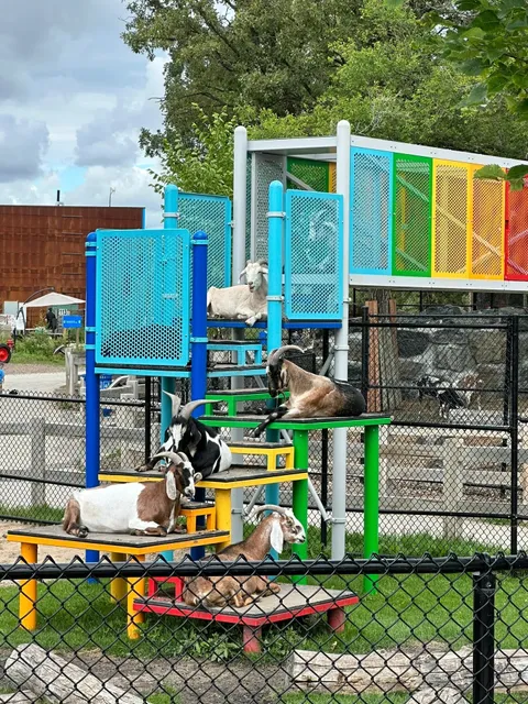 🇨🇦 Visiting the Polar Bears at Winnipeg’s Zoo 🐻‍❄️