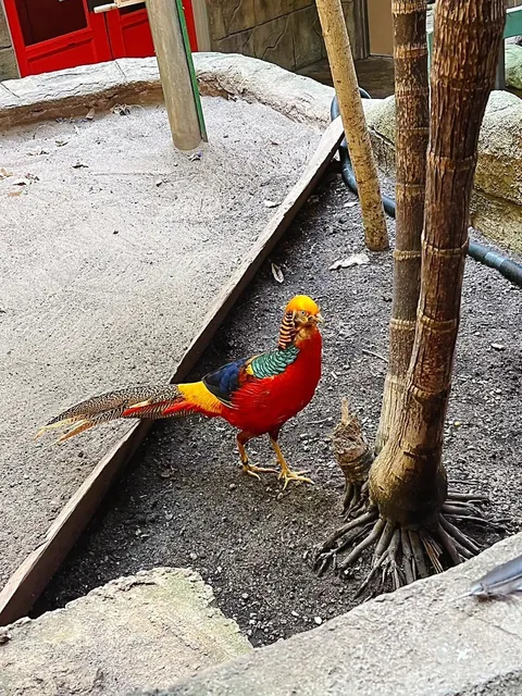 ​​🇨🇦 Bird Lovers, Rejoice! Niagara’s Avian Paradise Awaits! 🦜​​