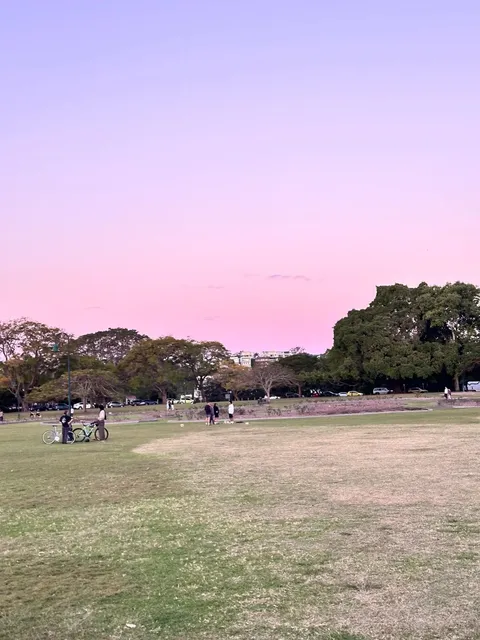  Brisbane Half-Day Tour: Story Bridge Adventure