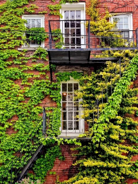 🌿 Cold Spring Day Trip | NYC’s Hidden Gem (Just 1hr Away!)