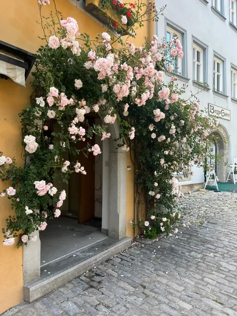 🇩🇪 Rothenburg ob der Tauber: A €49 Ticket Must-Visit! 🌹🏰