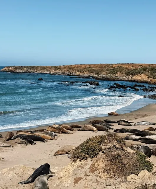 🌎 Ultimate West Coast Road Trip Adventure 