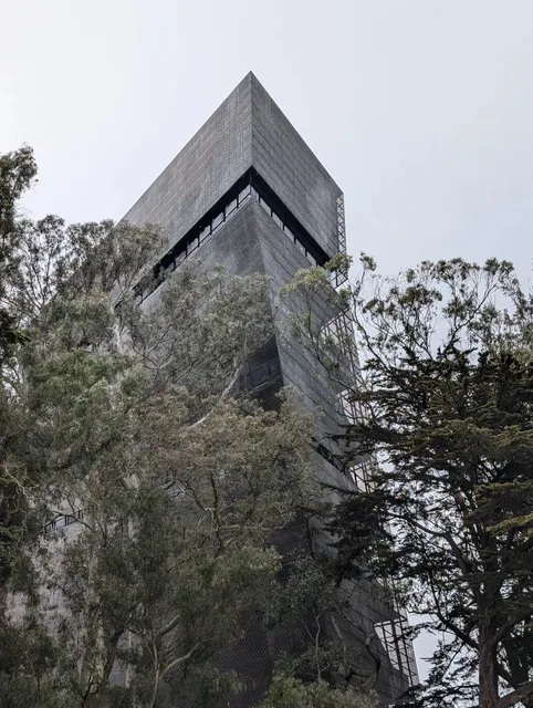 The de Young Museum in San Francisco 🎨😎