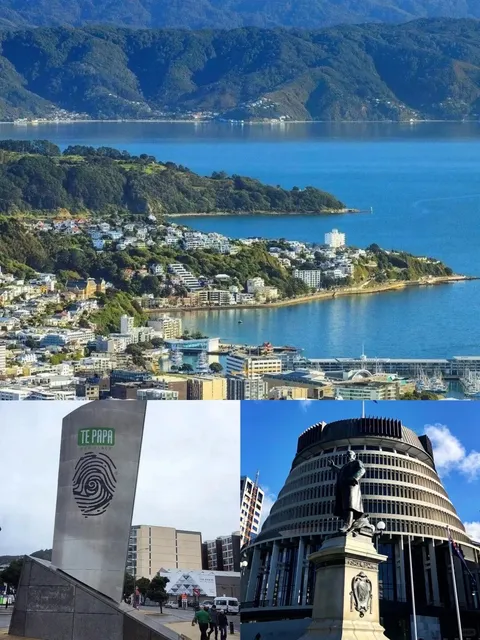 🇳🇿 Wellington, New Zealand - The Windy Capital Guide 🌬️✨
