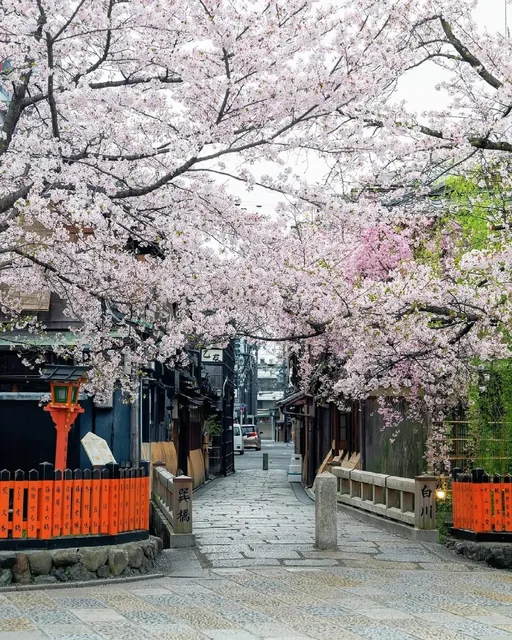 Gion Shirakawa Practical Tips 🌿