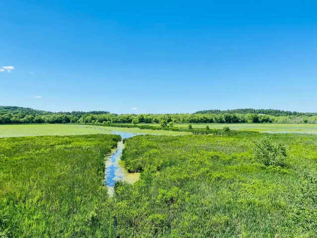 Great Meadows NWR - Where Marsh Magic Meets Bird Ballet 🦆🌿  