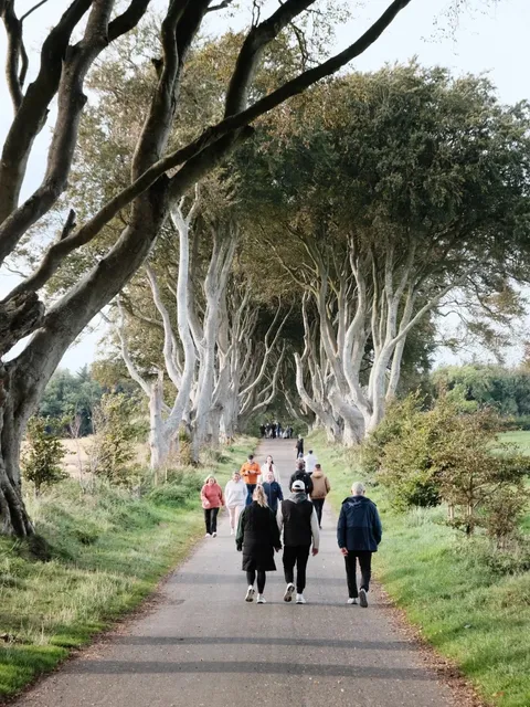 🇬🇧 My 3 Days & 3 Nights in Belfast (Travel Guide Edition)