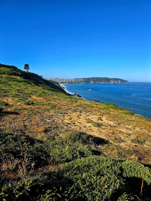 🇺🇸 [San Francisco] Ultimate Golden Gate Bridge Walking Guide 🌉
