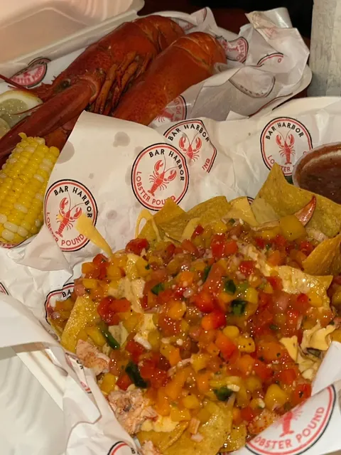 Where to Go for the Eastern US Long Weekend? ⛰️ Acadia National Park