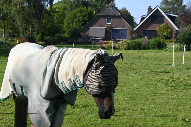 🌾 The Hidden Countryside of Wageningen 🇳🇱