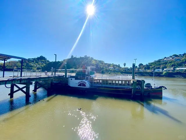 🌿 Whanganui | NZ’s Unexpected Artsy Haven 🎨