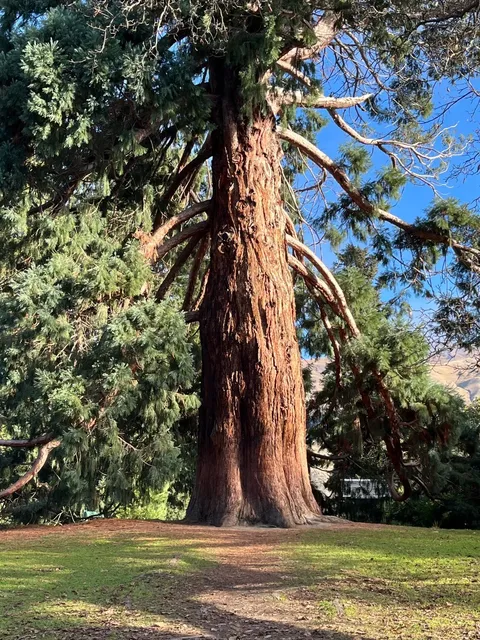 🇳🇿 Queenstown 4D3N Itinerary: Thrills & Chills! 🏔️🚤