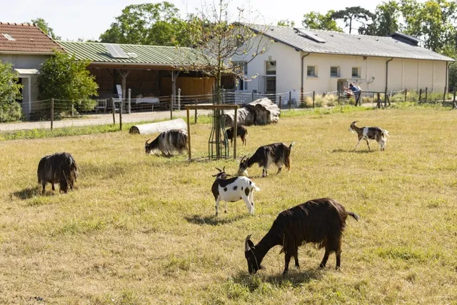 🇫🇷 Free August Activities in Paris ✨