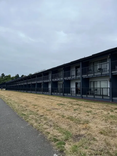 The Ultimate Chill-Out Choice for Olympic National Park! 🏞️💤  