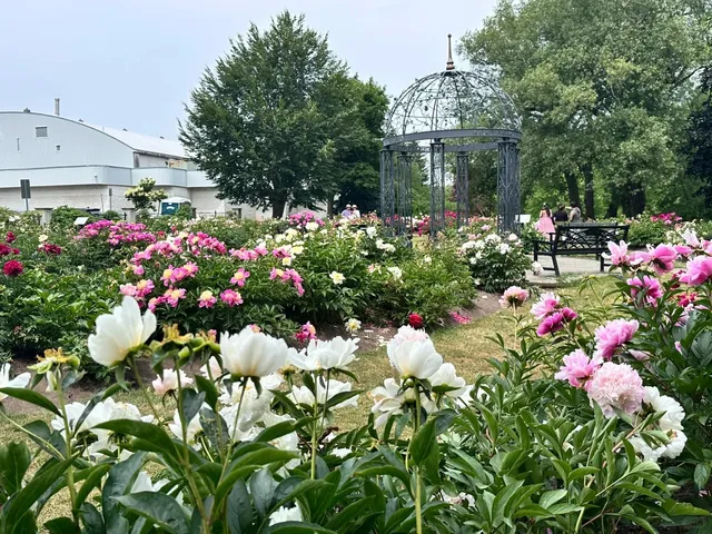 🌿 Oshawa Valley Botanical Gardens: A Floral Paradise in the City! 🌸