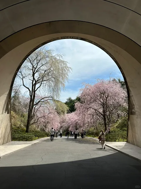 A One-Hour Drive to an Idyllic Retreat from Kyoto 🚗🌸