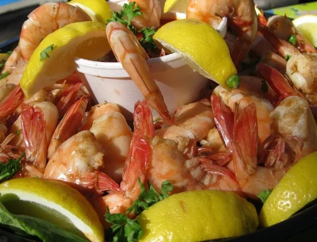 A Gathering Paradise by Tampa Bay