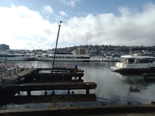 Light as a Picture, Charming as a Poem 🎨⚓🌊