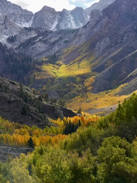 From Late Autumn to Early Winter in One Hike 🍁❄️