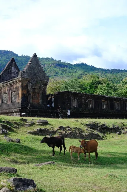 🇱🇦 Laos' Hidden Gem: The Ancient Khmer Ruins of Wat Phou