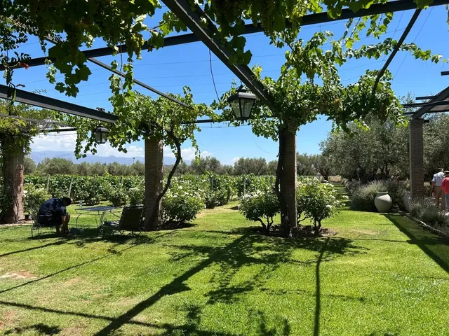 🇦🇷 Mendoza Summer Bliss: 6 Reasons to Love It! ☀️🍷