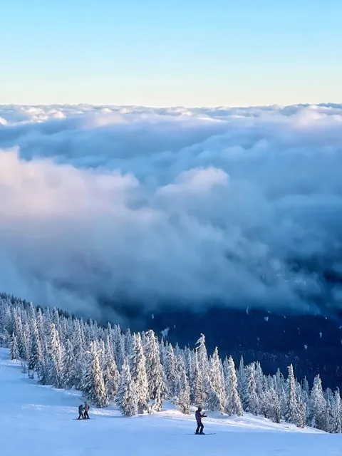 Seattle travel guide:Schweitzer