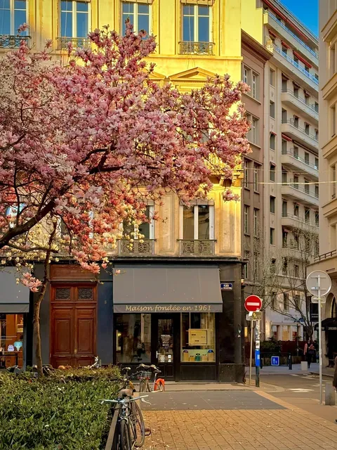 Spring Exchange | Lyon in March 🎧 The Collision of Machinery  