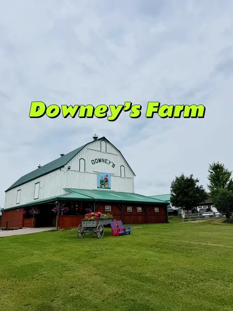 ​​🌻 Downey's Farm - A Perfect Day Trip from Toronto 🐑​​