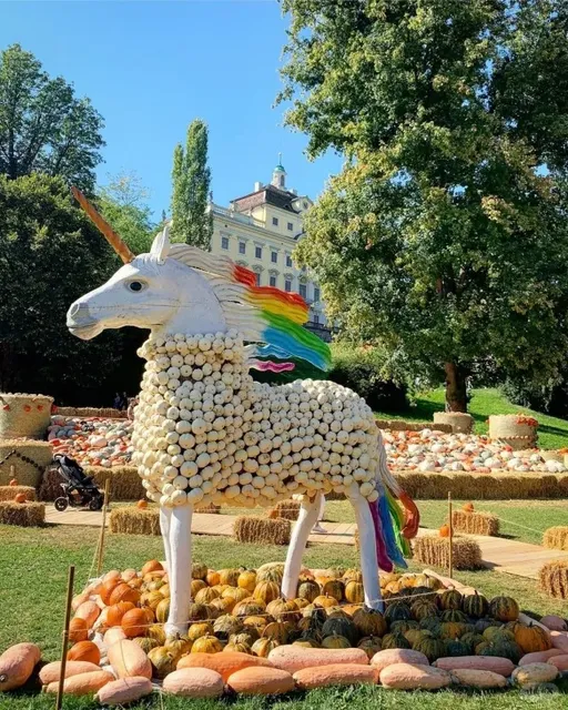 Don't Miss This Pumpkin Exhibition 🎃 in Autumn and Winter