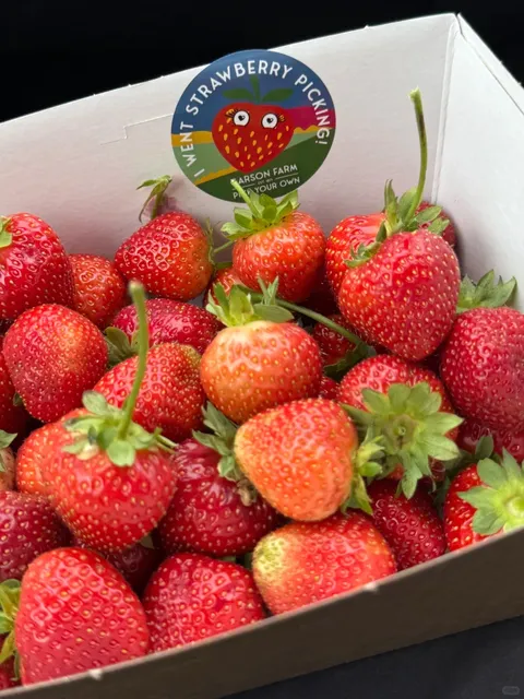 ​​🇬🇧 Wait… UK Farm Fun is THIS Good?! 🍓​​